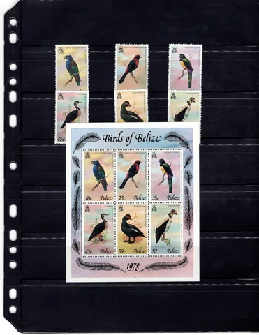 Belize 398-403 Birds VF MNH Complete Set A1c Cover