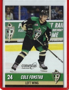 2017/18 Prince Albert Raiders - COLE FONSTAD [Straubing Tigers] DEL