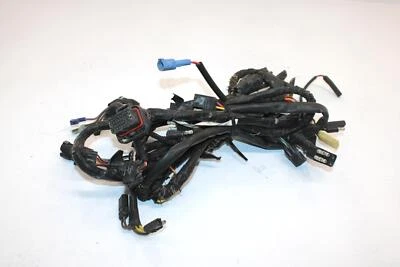 03 Arctic Cat Firecat 500 Sno Pro OEM chicote de fios principal 0686-935 SA259 - Imagem 1 de 4