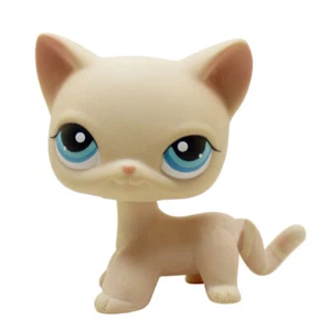 Seltene Littlest Pet Shop beige creme Kurzhaar Katze Katze Kätzchen blaue Augen LPS SPIELZEUG #228 - Bild 1 von 5