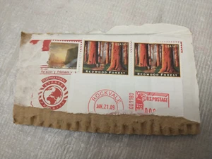 Redwood Forest 4.95 Stamps Box Cutout Priority Rockvale - Used/Uncancelled - Picture 1 of 2