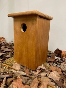 Henry Bell Nest Box, transparente - accesorios plateados, orificios de drenaje - Imagen 1 de 3