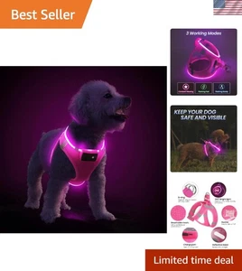No Pull reflektierendes Hundegeschirr mit LED-Leuchten - verstellbar für kleine bis große - Bild 1 von 9