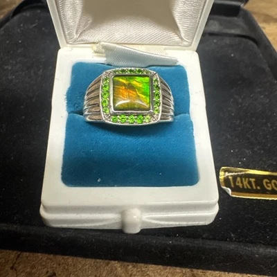 Precioso anillo de plata de ley 925 con múltiples piedras preciosas talla 10,5 para hombre Foto 1 de 4