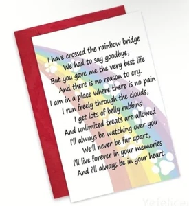 Loss Of Dog Cat Pet Rainbow Bridge Poem Large Blank Memorial Card Envelope - Picture 1 of 3