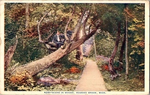 Cartolina Scena Nel Bosco Ruggente Brook Michigan Bordo Bianco Francobollo 1921 - Foto 1 di 4