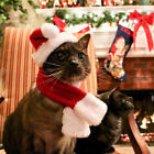  3 Pcs Katze Weihnachtskostüm Weihnachtsmütze Für Haustiere Der Hund