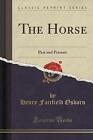The Horse Past and Present Classic Reprint, Henry