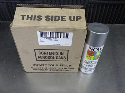 1 Box of 6 Cans NEW! Krylon NOW Aluminum Enamel Spray Paint 9oz | 21201  - Image 1 of 3