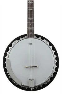 Washburn Americana B10 5-string Resonator Banjo - Picture 1 of 8