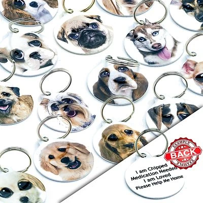 Dog Tag Breed Pet Tags Personalised ID Name Collar Disc  -Easy Own Photo Option - Image 1 of 3