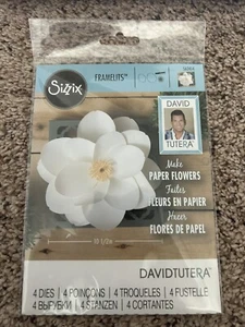 Dizzies Frameless David Tutors Large Magnolia NEW - Picture 1 of 2