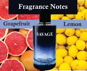 Men Gift Sale! Smell Nice Savage Perfume, Eau De Parfum 100, SAPPHIRE'S CHOICE - Picture 1 of 6
