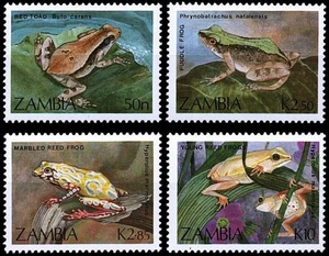 ZAMBIA 1989 FROGS SC#462-65 ** ANIMALS / AMPHIBIANS 💲FREE SHIPPING💲 - Picture 1 of 1