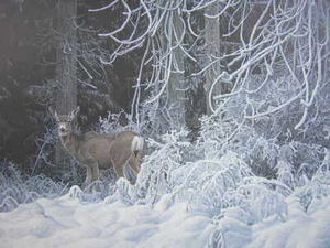 Ron Parker Snow Palace Mule Deer Limited Edition Signed Art Print - Picture 1 of 1