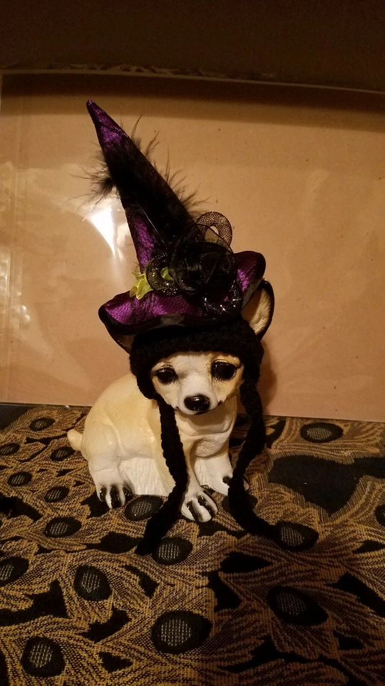 Gorro para perro  Foto 1 de 1