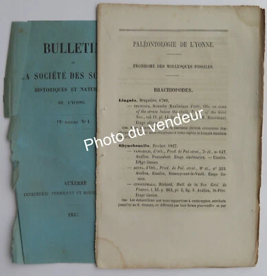 Paléontologie: Cotteau, 1857. Mollusques fossiles: Brachiopodes de l'Yonne - Photo 1/3