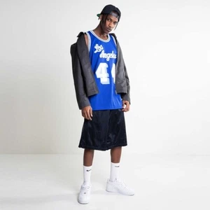Mitchell & Ness Los Angeles LAKERS 1960-61 Jerry West BLUE Swingman Jersey - Picture 1 of 26