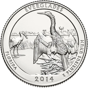 2014 S Everglades Florida America the Beautiful BU Quarter from US Mint Roll - Picture 1 of 2