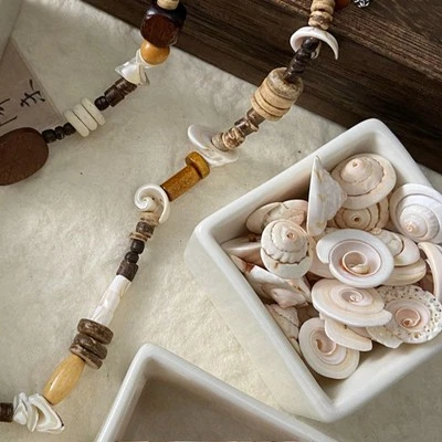 10x Natürlich Spirale Muschel Lose Perlen DIY Zubehör Basteln für Armband Kette - Bild 1 von 4