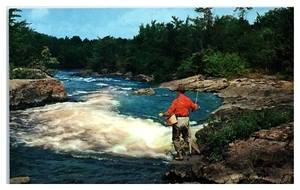 Fishing On Rocks Man in Fishing Off Rocks Along River Postcard - Picture 1 of 2