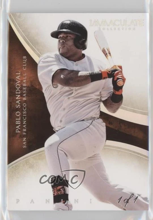 2014 Panini Immaculate Platinum 1/1 Pablo Sandoval #66 5h9 - Image 1 of 3