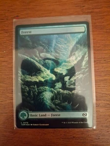 MTG FOIL Forest 276 Full Art - Tarkir: Dragonstorm #276 - Bild 1 von 1