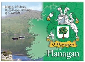 Imán de nevera con imagen metálica recuerdo apellido irlandés Flanagan regalo irlandés - Imagen 1 de 2