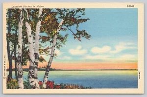 Carte postale pittoresque en lin bouleaux au bord du lac dans le Maine années 1940 - Photo 1/2