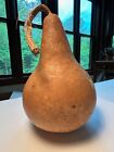 One Beautifully Shaped Locally Grown Gourd for Arts, Crafts, & Small Birdhouses