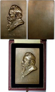 AUSTRIA Bronze Medal Plaque 1908 by Bachmann.Dr. Anton Mayer historian 48x71 (9) - Picture 1 of 5