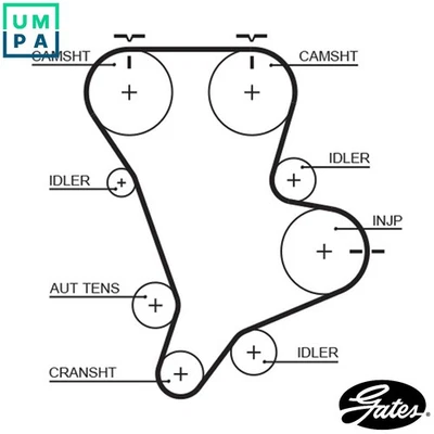 TIMING BELT 5583XS FOR HYUNDAI KIA K2900 K-SERIES/Platform/Chassis/BONGO/Bus - Image 1 of 4