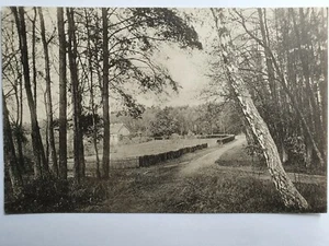 AK Treuenbrietzen OT Frohnsdorf Blick auf die Oberförsterei bei Jüterbog Niemegk - Picture 1 of 2