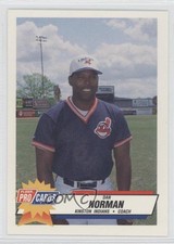 1993 Fleer ProCards Minor League Dan Norman #2265