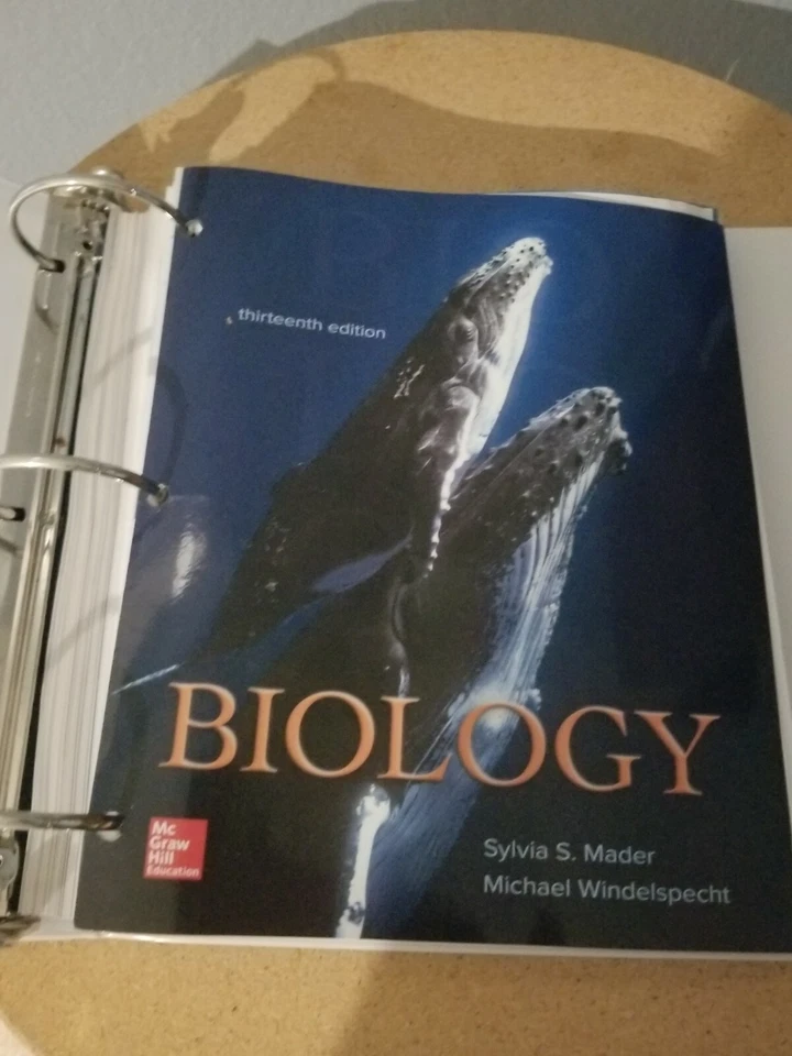 Biology 13th edition by Sylvia S Mader & Michael Windelspecht(Loose Leaf) - Image 1 of 1