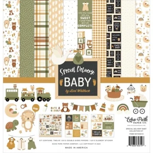 12" x 12" scrapbooking paperpad Echo Park Special Delivery Baby 12 sheets - Picture 1 of 1