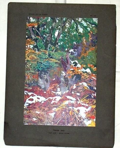 1927  MATHURIN MEHEUT  Etude De La Foret Print, A. Levy, Paris Plate  # 106 - Picture 1 of 3