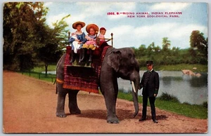 Postcard New York City Zoological Park Kids Riding Indian Asian Elephant - Picture 1 of 2