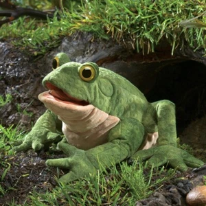 NEW PLUSH SOFT TOY Folkmanis 3099 Green Toad Frog Hand Puppet - Picture 1 of 4