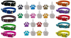 Vibrant Leather Dog Collar for Puppy, Dogs & Personalised Paw Shaped Glitter Tag - Picture 1 of 22