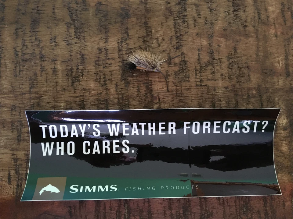 Simms Fishing Products  Today's Weather Forecast sticker - Image 1 of 1