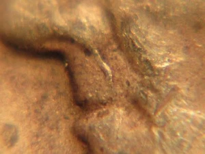 1964 D Silver Roosevelt Dime with Obverse Die Crack Error - Picture 1 of 12