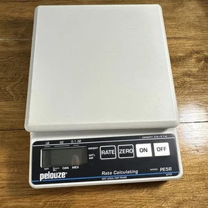 Pelouze Model PE5R Postal Scale / Food Scale (Capacity 5 lbs.) - Picture 1 of 4