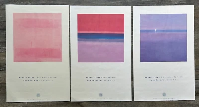 Juego de impresión de póster ROBERT FRIPP Soundscapes Vol 1 2 3 Atmospheric Ambient Prog Foto 1 de 4