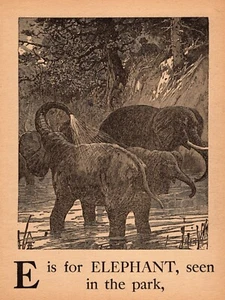 Antigua letra ABC impresión E c1900 alfabeto estampado animal salvaje estampado 5194p - Imagen 1 de 2