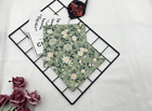 3 Paper Napkins for Decoupage / Tea Parties - Vintage Cream Sage Florals