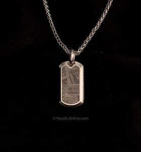 Muonionalusta Meteorite Pendant with Necklace SST #1 - Picture 1 of 3