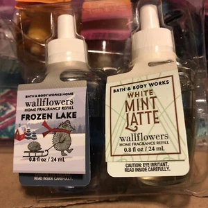 2 Bath & Body Wall Flowers Frozen Lake And Mint Latte Refills - Imagen 1 de 1