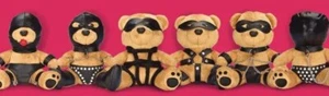 TEDDY BEAR BONDAGE BEARZ CUTE PLUSH BEARS 6 TO CHOOSE FROM - Picture 1 of 18