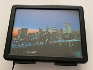 Vintage Decorative Fiber Optic Lamp of New York City With Twin Towers READ - Picture 1 of 13